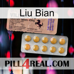 Liu Bian 41